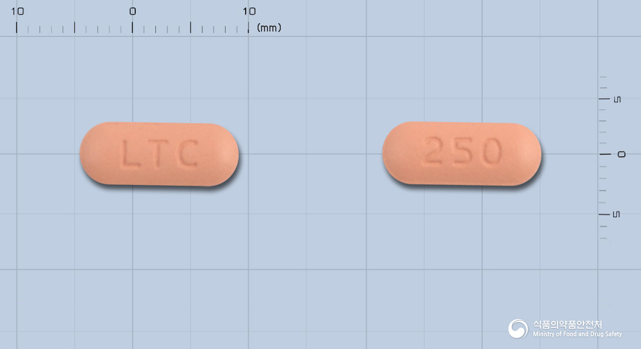 렉타신정250밀리그램(레보플록사신수화물)