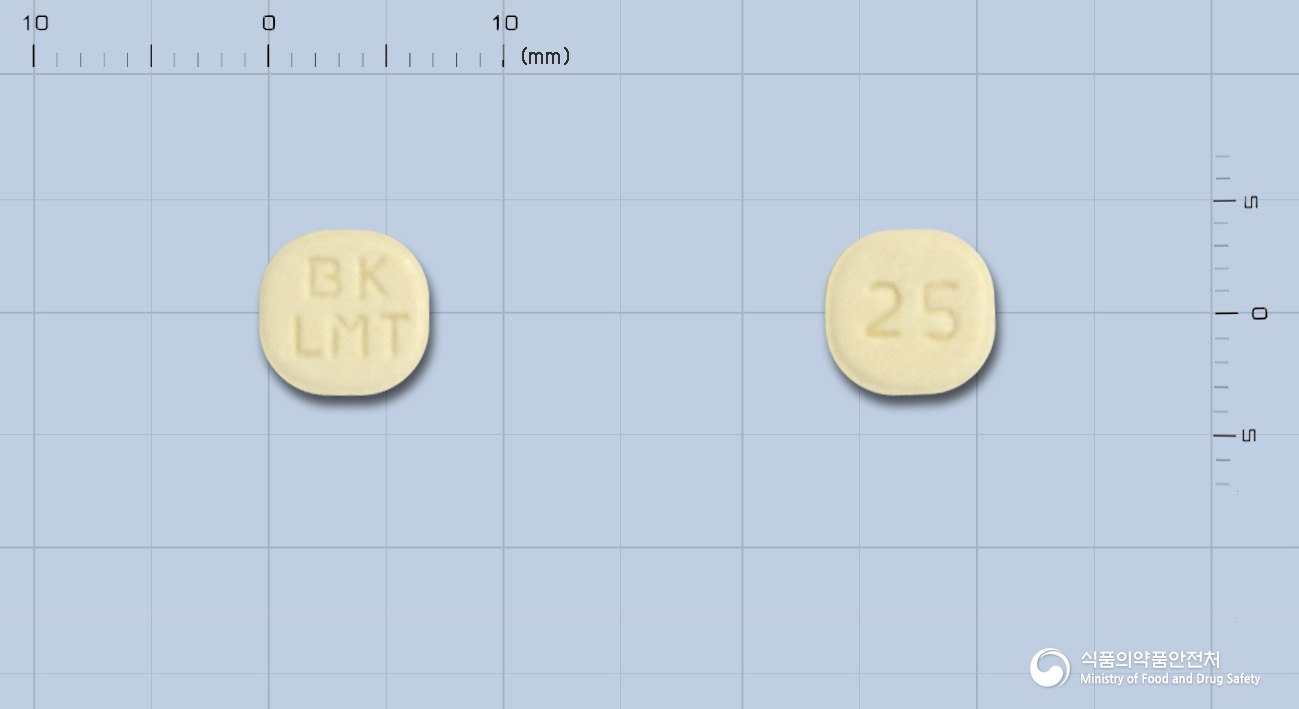 라모티진정25밀리그램(라모트리진)