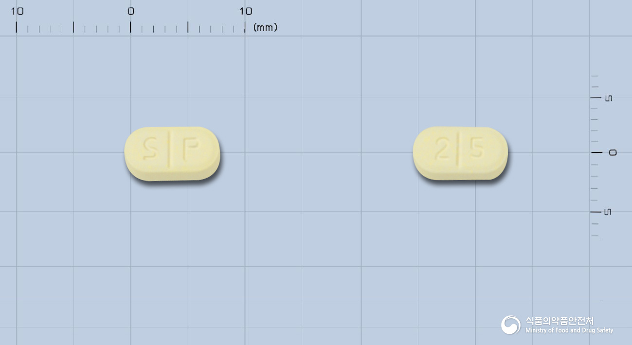 라미필정2.5mg(라미프릴)