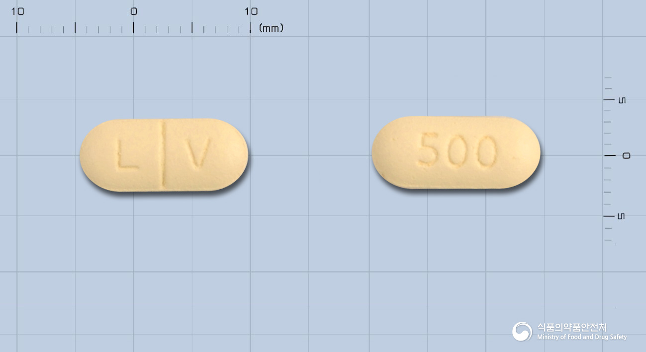 레보박터정500mg(레보플록사신)