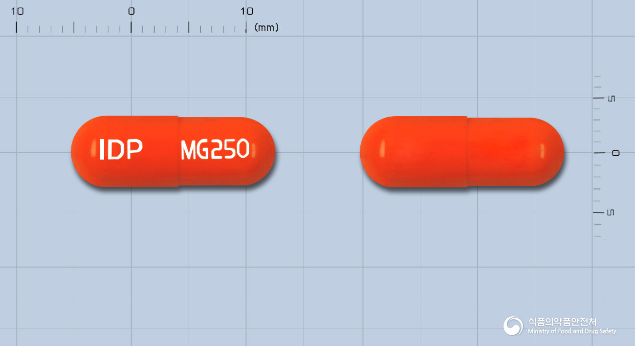 메가세프캡슐250밀리그램(세프라딘수화물)