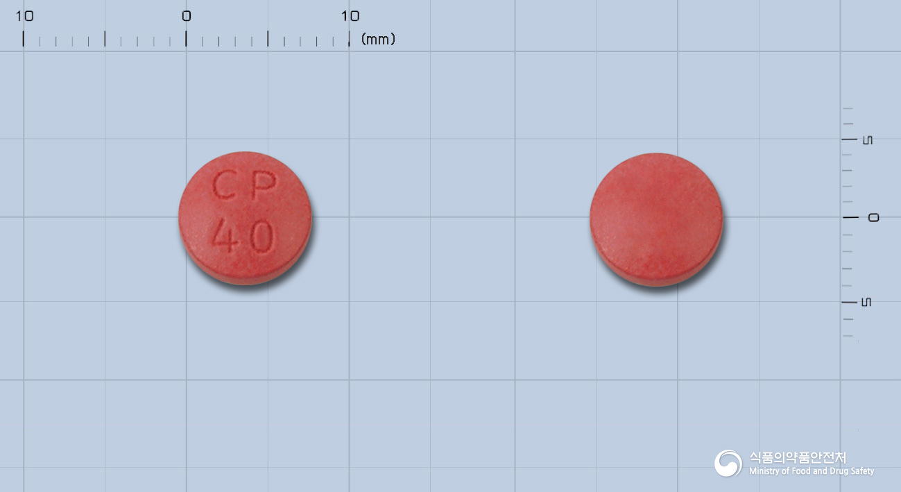 징코미란정40mg(은행엽엑스)