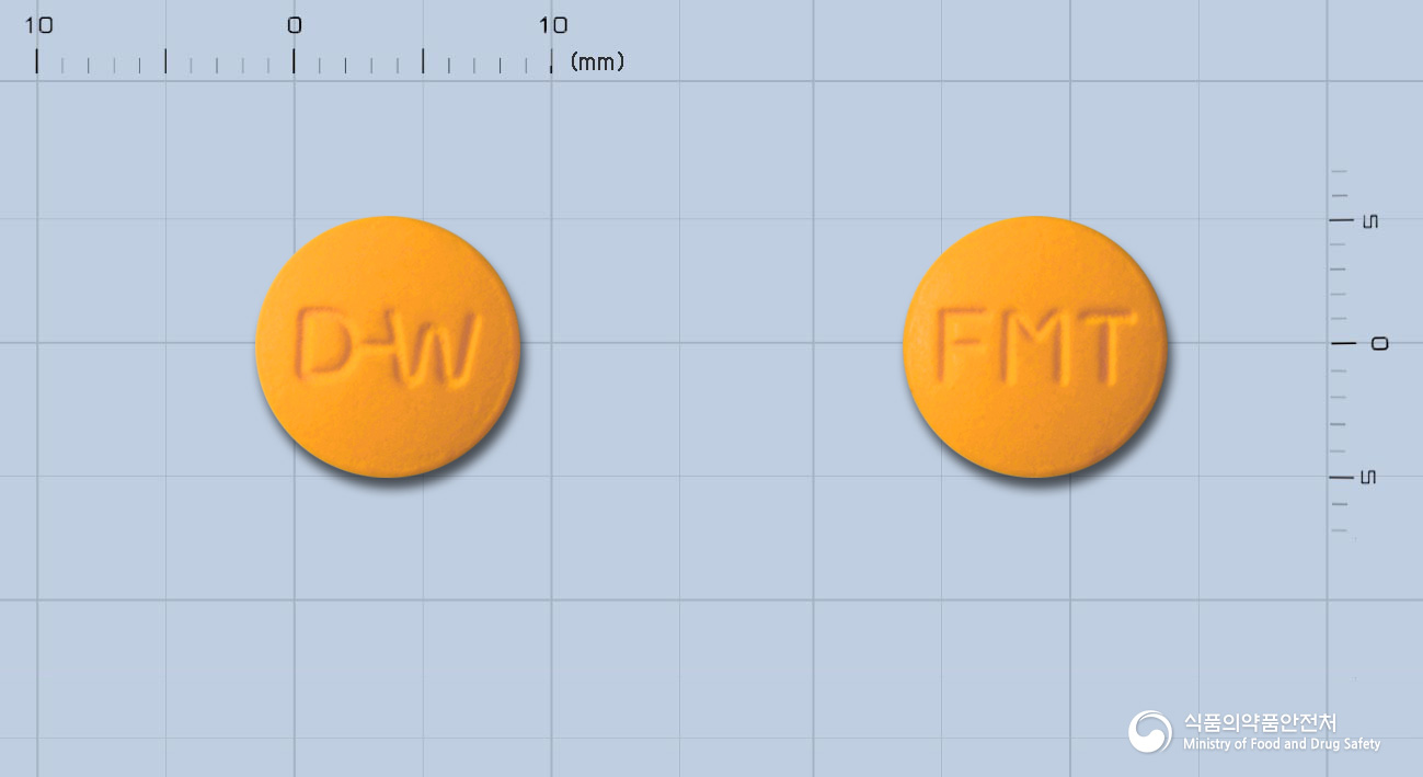 후라모톨정(탈니플루메이트)