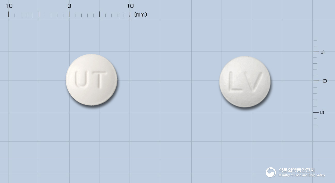 레보록신정(레보플록사신)(수출명:UniloxinTabs.)