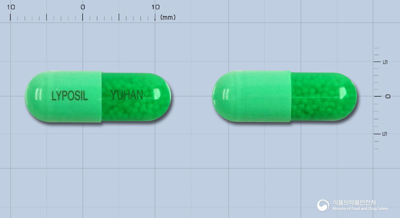 라이포실캡슐(이트라코나졸)