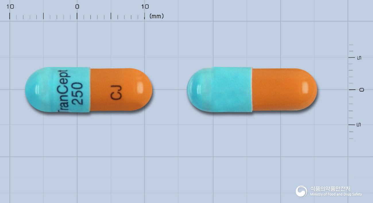 트랜셉트캡슐250밀리그램(미코페놀레이트모페틸)