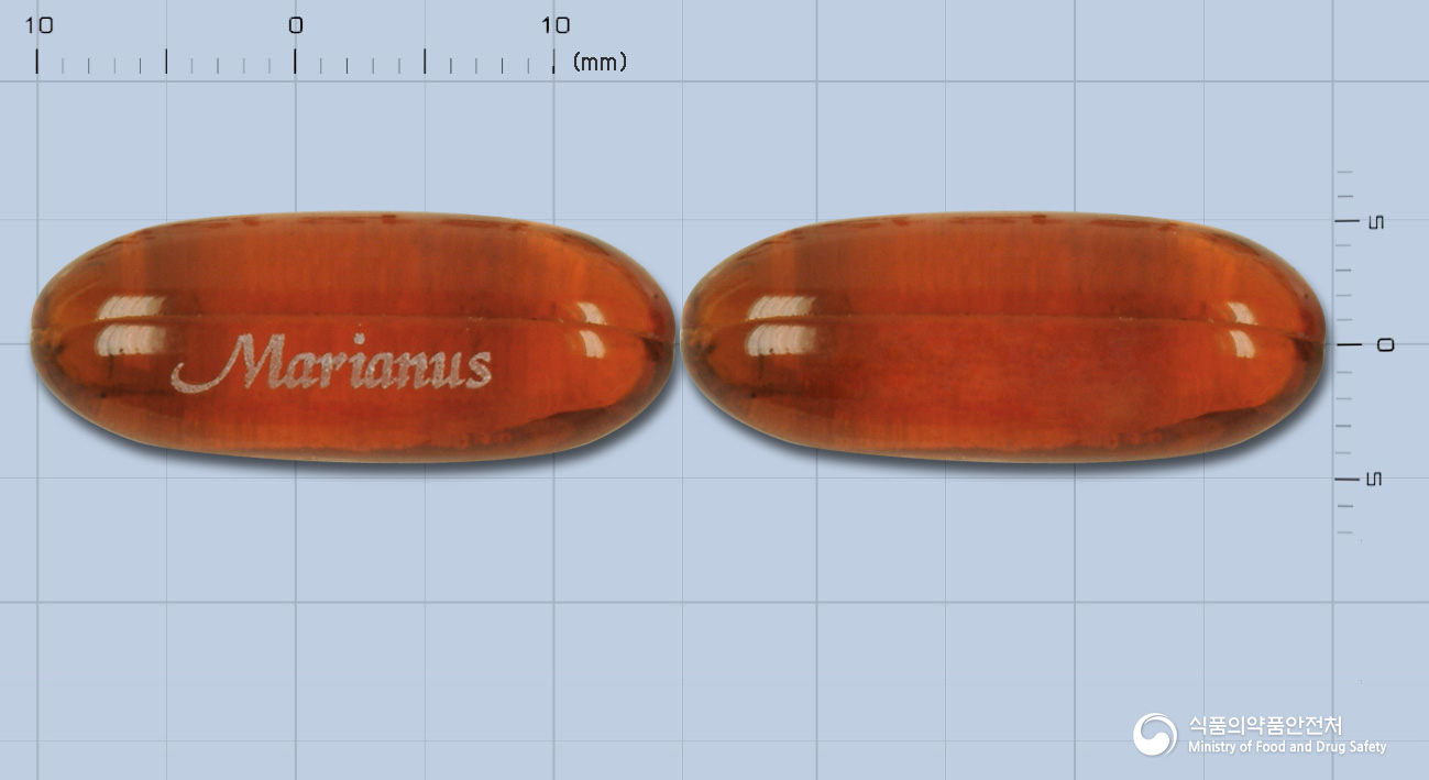 마리아누스연질캡슐(카르두스마리아누스엑스)