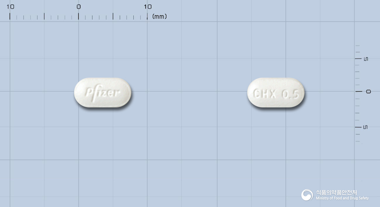 챔픽스정0.5밀리그램(바레니클린타르타르산염)