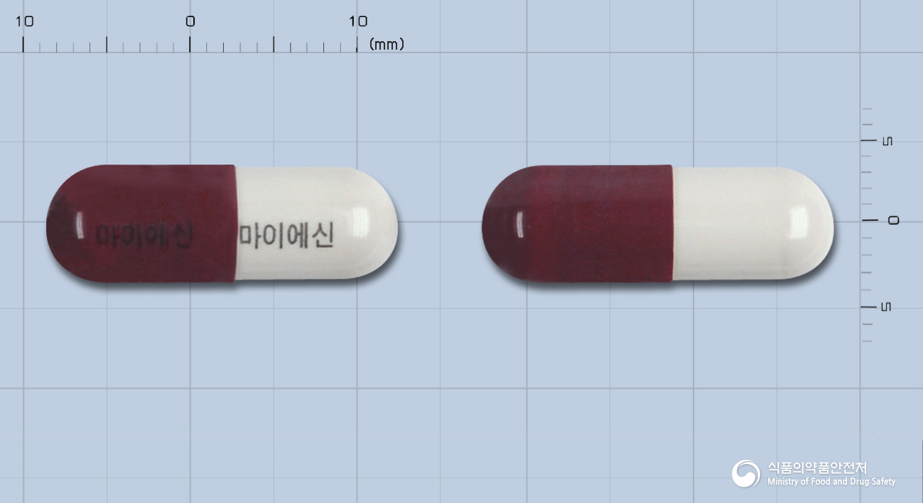 마이에신캡슐(은교산)