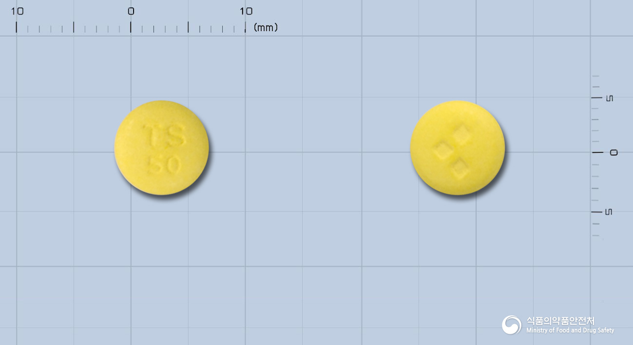 티세르신정50밀리그램(레보메프로마진말레산염)