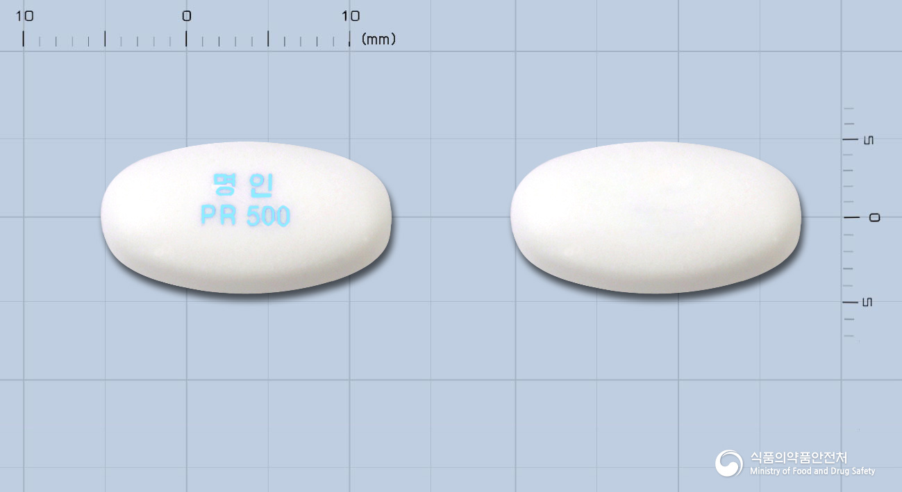 프로막정500밀리그램(발프로산마그네슘)