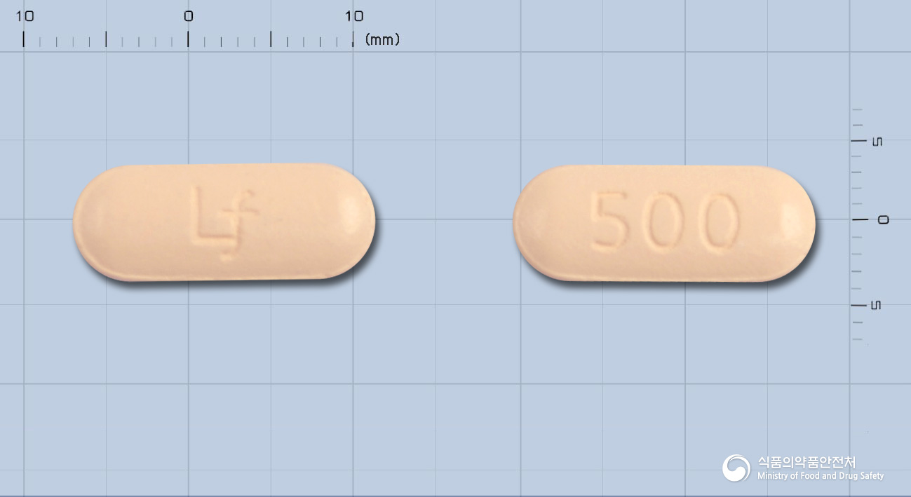 레프록신정500mg(레보플록사신)