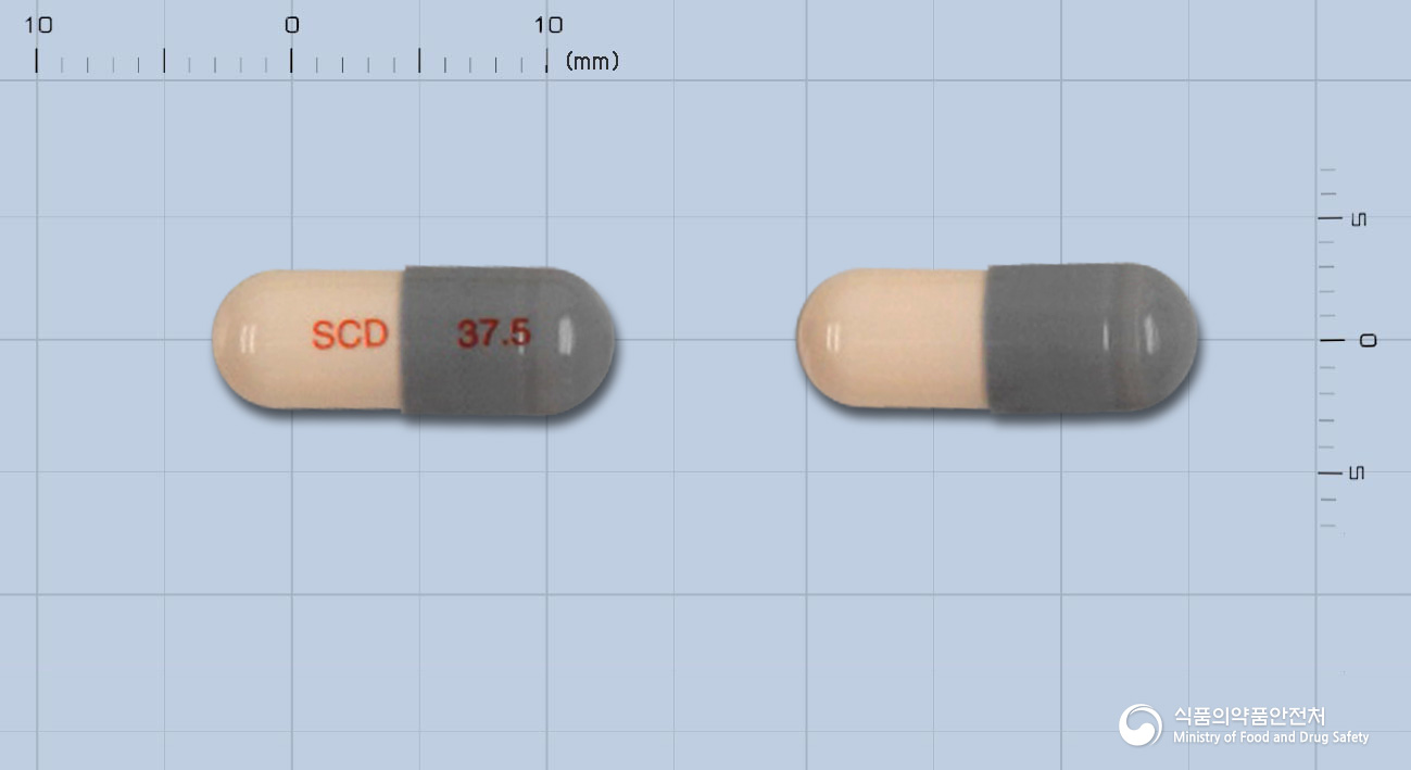 벤라팩트서방캡슐37.5mg(벤라팍신염산염)