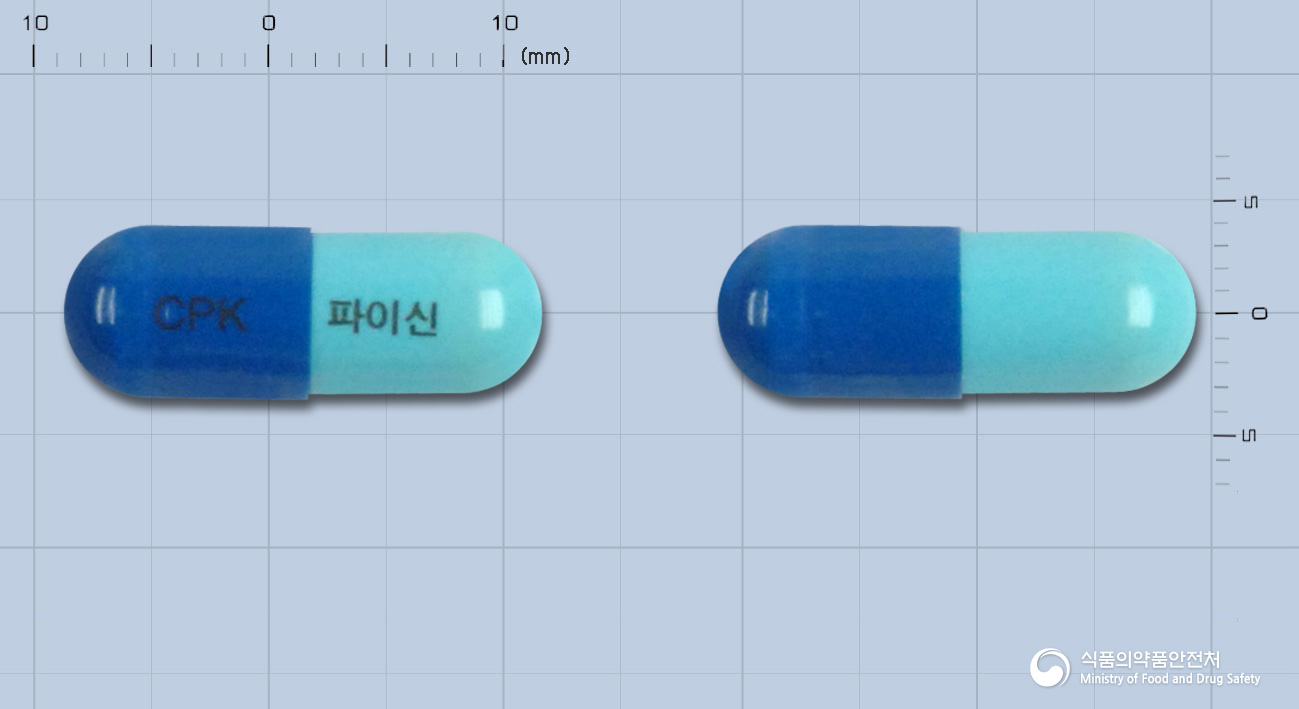 씨엠지파이신캡슐(은교산건조엑스(8.16->1))