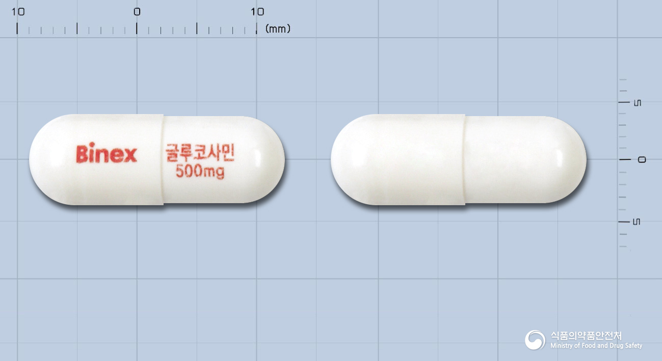 바이넥스글루코사민500캡슐(결정황산글루코사민)